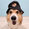 SUPERCORG BUCKET HAT - Image 2
